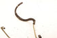 1997-2000 Chevrolet Corvette 5.7L Power Steering Cooler Fluid Line Hose 26047343 - Alshned Auto Parts