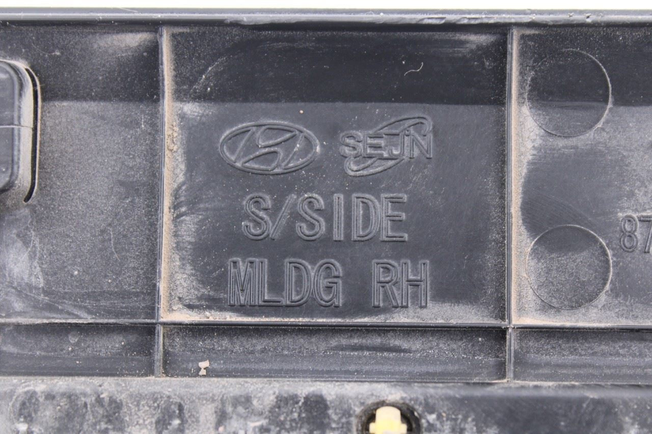 2019-2023 Hyundai Santa Fe SEL Right Rocker Skirt Panel Molding 87752-S2000 OEM15