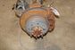 11-16 Ford F-250 Lariat 6.2L 4WD Rear Axle Differential Electronic Lock 3.73 rat - Alshned Auto Parts