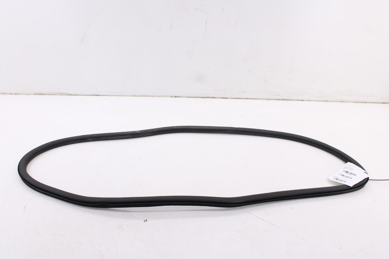 19-26 Volkswagen Jetta SE Rear Left Door Weatherstrip On Body 17A867913A9B9 OEM2