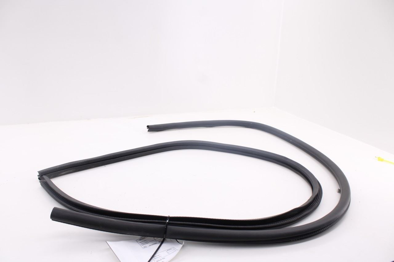 15-26 Ford Mustang GT Right Left Side Door Lower Weather-strip Seal On Body Set - Alshned Auto Parts