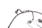 2018-2023 Kia Stinger GT2 AWD Rear Bumper Extension Wire Harness w/ Park Sensors - Alshned Auto Parts