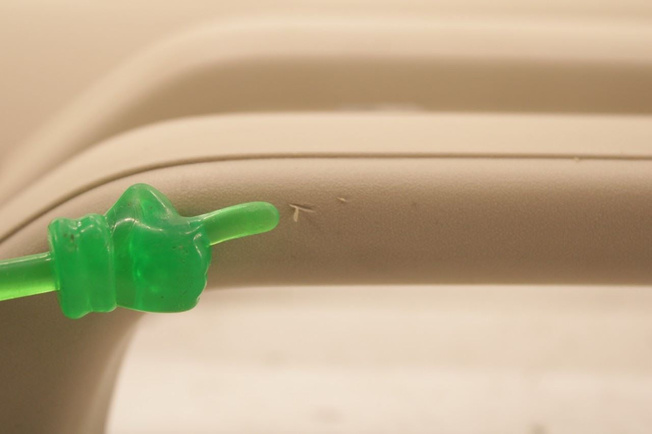 22-24 Ford Expedition MAX XLT FR Right and Left A-Pillar Molding NL1B-7803512-AC - Alshned Auto Parts