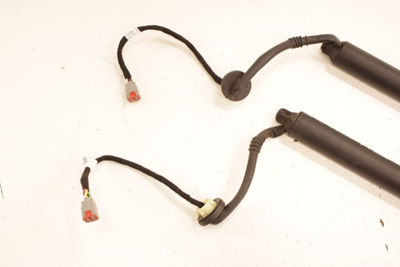 18-24 Ford Expedition MAX XLT Rear Right and Left Liftgate Lift Cylinder Strut - Alshned Auto Parts