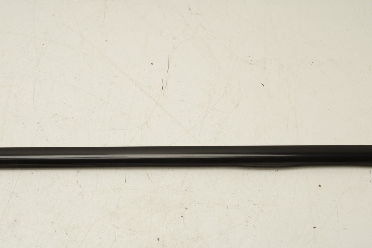 2010-2015 BMW 750Li xDrive Rear Left Door Run Channel w/ Molding Set 51357179129 - Alshned Auto Parts