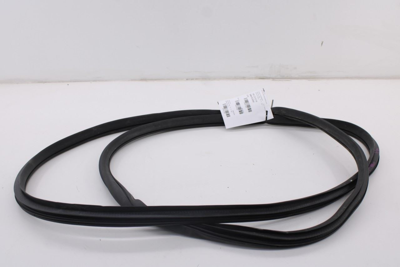 2019-2026 Ram 1500 Big Horn Front Left Side Door Weatherstrip On Body 68402032AA0