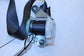 2014-20 Acura MDX Advance 3.5L Rear Driver Left Side 2nd Row Seat Belt Retractor - Alshned Auto Parts