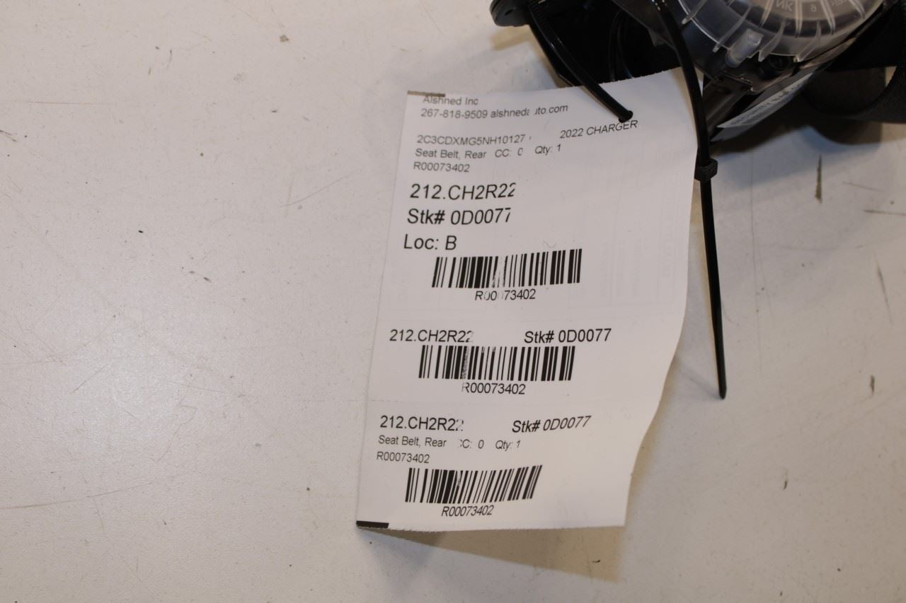 2019-23 Dodge Charger GT Rear Center 2nd Row Seat Belt Retractor w/ Belt Buckle - Alshned Auto Parts