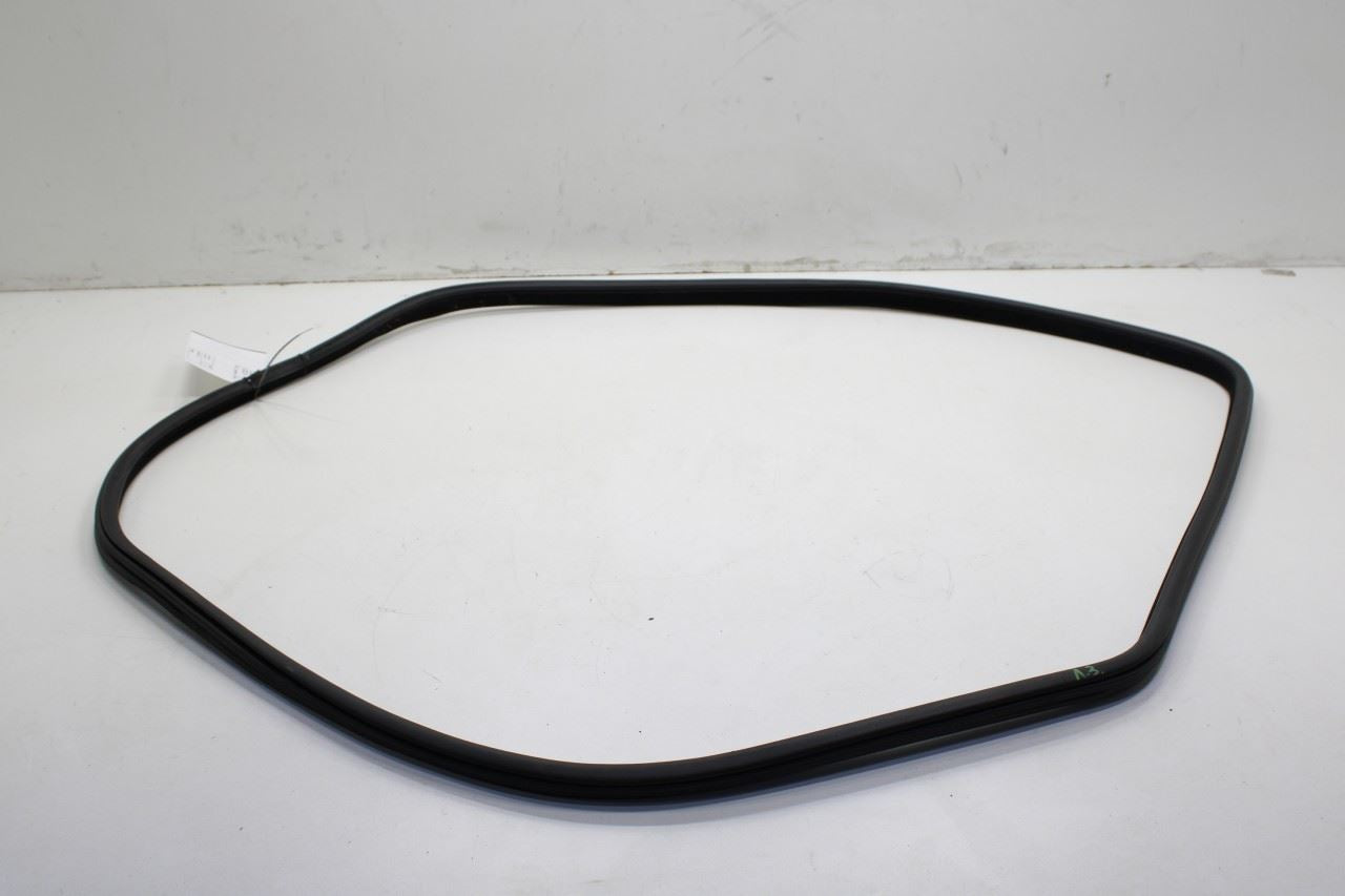 2014-2018 BMW X5 xDrive35i Rear Left Door Weathestrip On Body 51727289689 OEM - Alshned Auto Parts