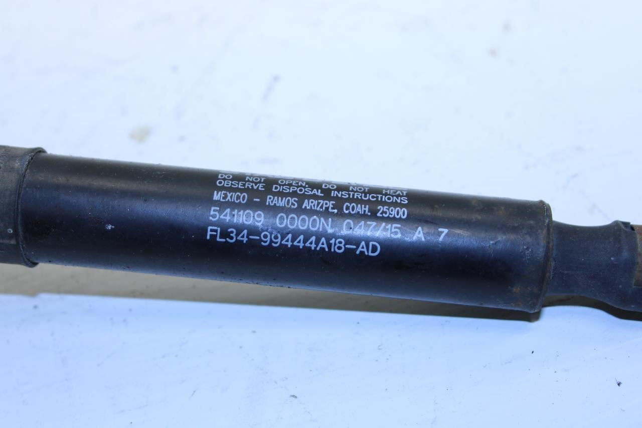 2015-20 Ford F150 Platinum Rear RH Tailgate Lift Support Strut FL34-99444A18-AD - Alshned Auto Parts