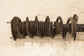 2016-24 Infiniti Q50 Premium 3L RWD Rear Left Side Shock Strut Absorber *ReaD* - Alshned Auto Parts