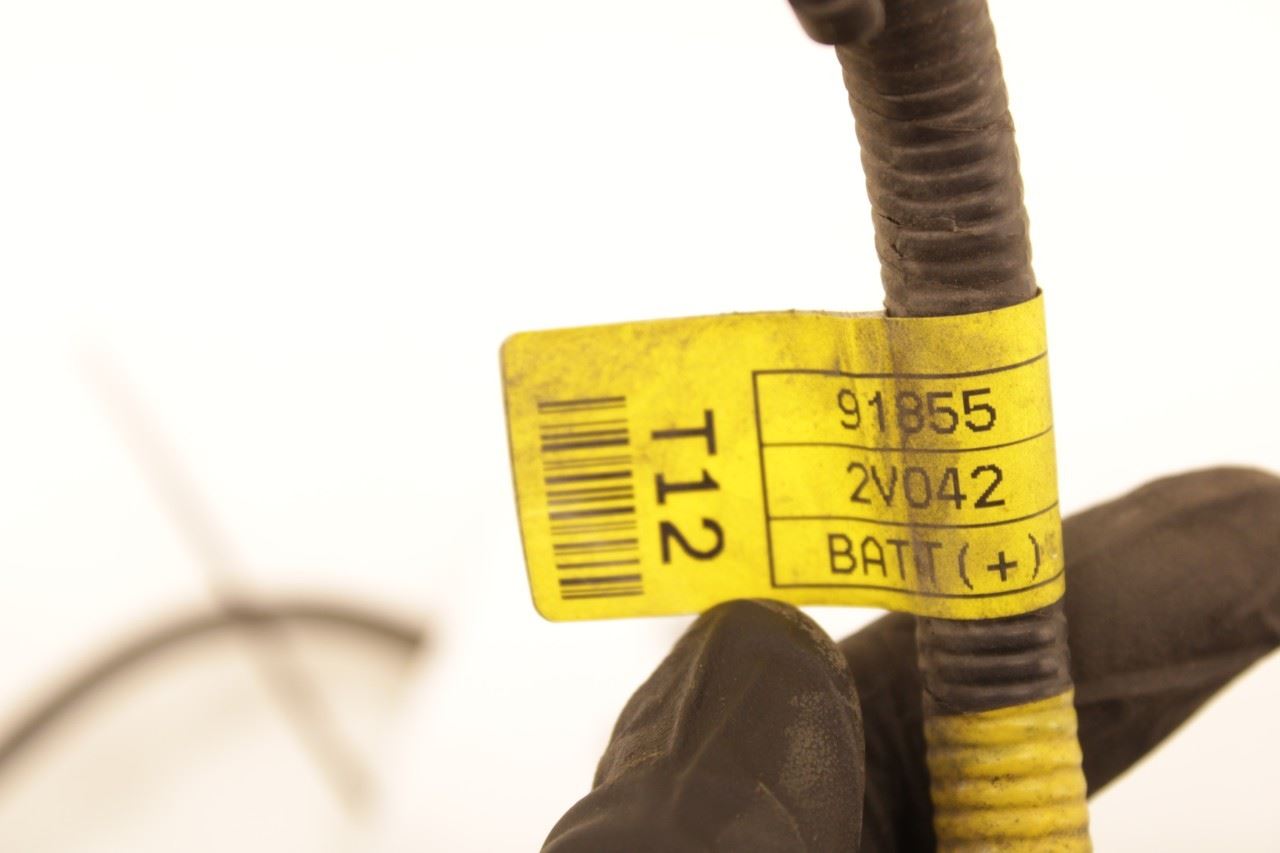 15-17 Hyundai Veloster Turbo 1.6L Auto Trans Positive Battery Cable Wire Harness - Alshned Auto Parts