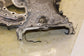 2014-2021 Maserati Ghibli S Q4 3.0L V6 Engine Front Timing Cover 910507 OEM - Alshned Auto Parts