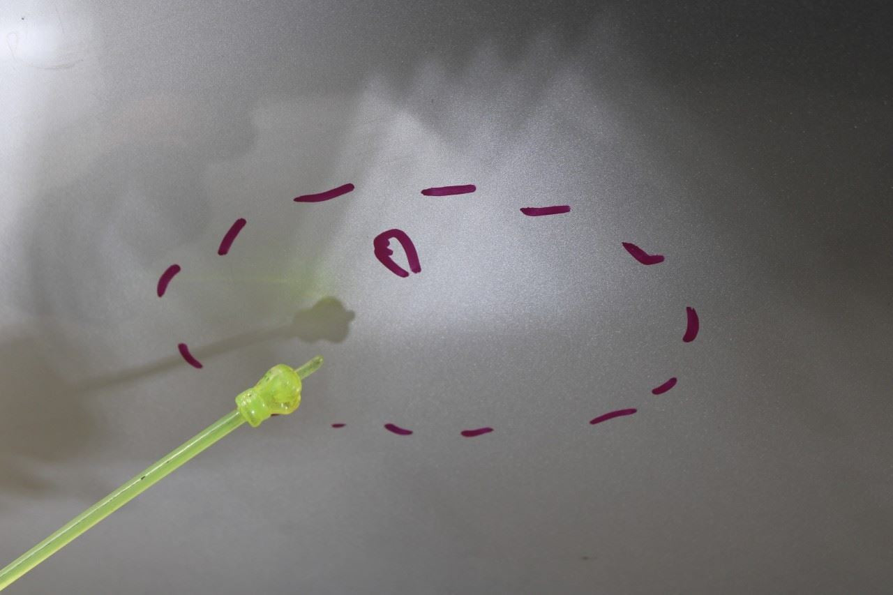 2016-2020 Kia Optima LX Rear Left Driver Door Shell Panel 77003-D5000 OEM *ReaD* - Alshned Auto Parts