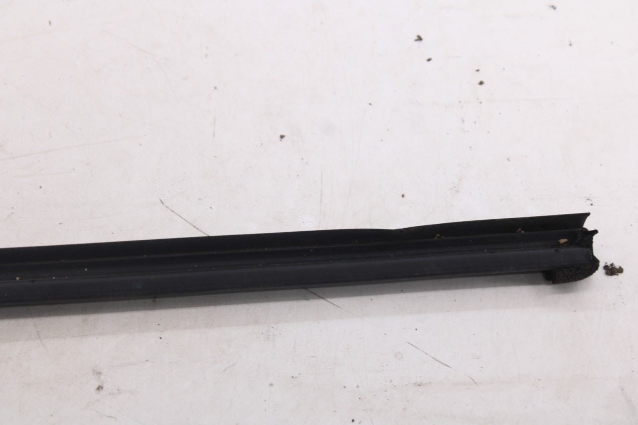2018-2026 Ford Expedition Max XLT Rear Left Door Belt Molding and Weatherstrip18