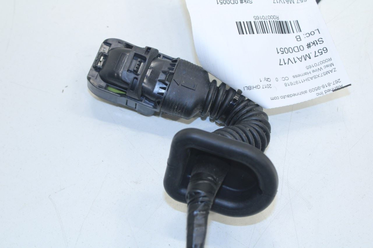 2017-2020 Maserati Ghibli Front Left Driver Side Door Wire Harness 670035803 OEM - Alshned Auto Parts