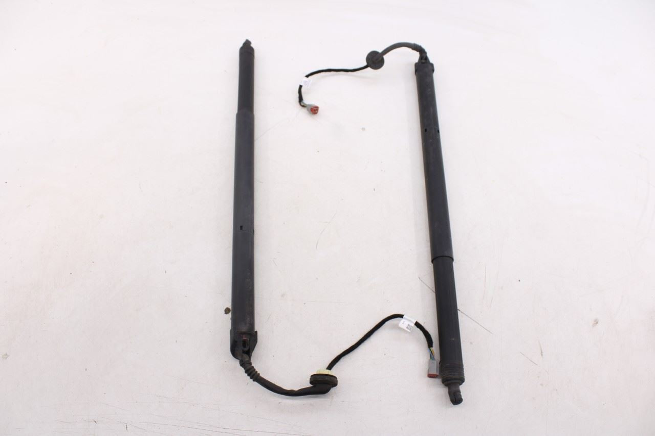 2018-24 Ford Expedition Max XLT Rear Right and Left Liftgate Lift Cylinder Strut0