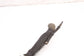 2011-2016 Ford F250 Lariat 6.2L Fuel Filler Neck Hose Tube Pipe BC34-9034-BH OEM - Alshned Auto Parts