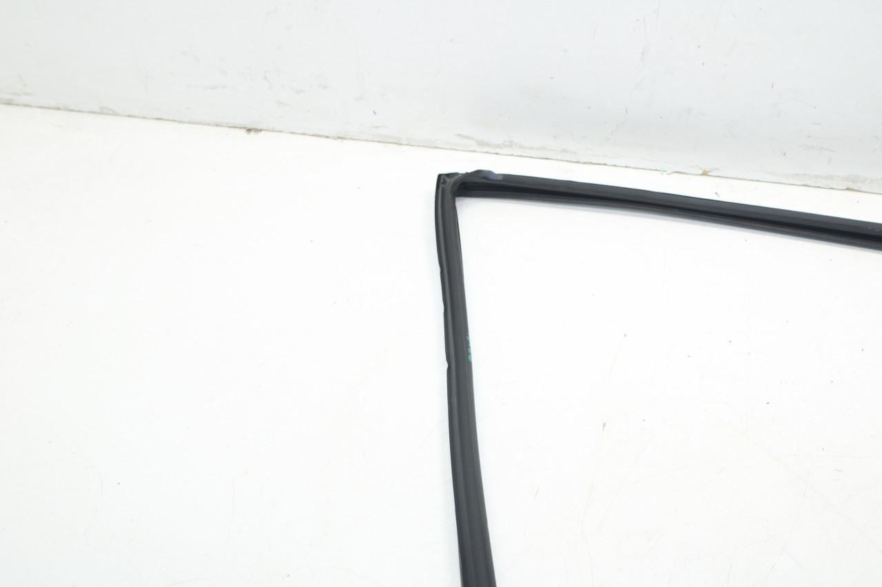 2015-2019 Nissan Murano Rear Right Door Window Run Channel w/ Belt Seal Molding - Alshned Auto Parts