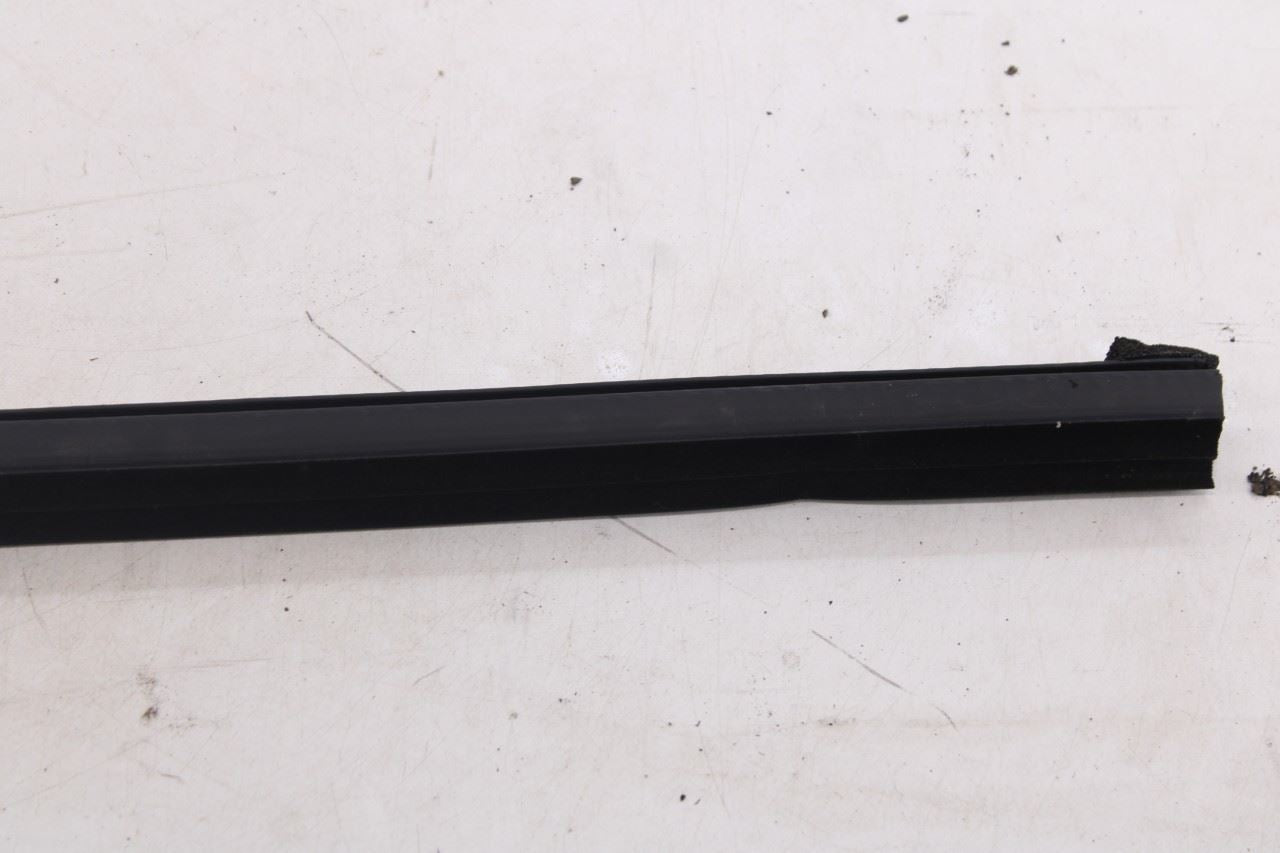 2018-2026 Ford Expedition Max XLT Rear Left Door Belt Molding and Weatherstrip14