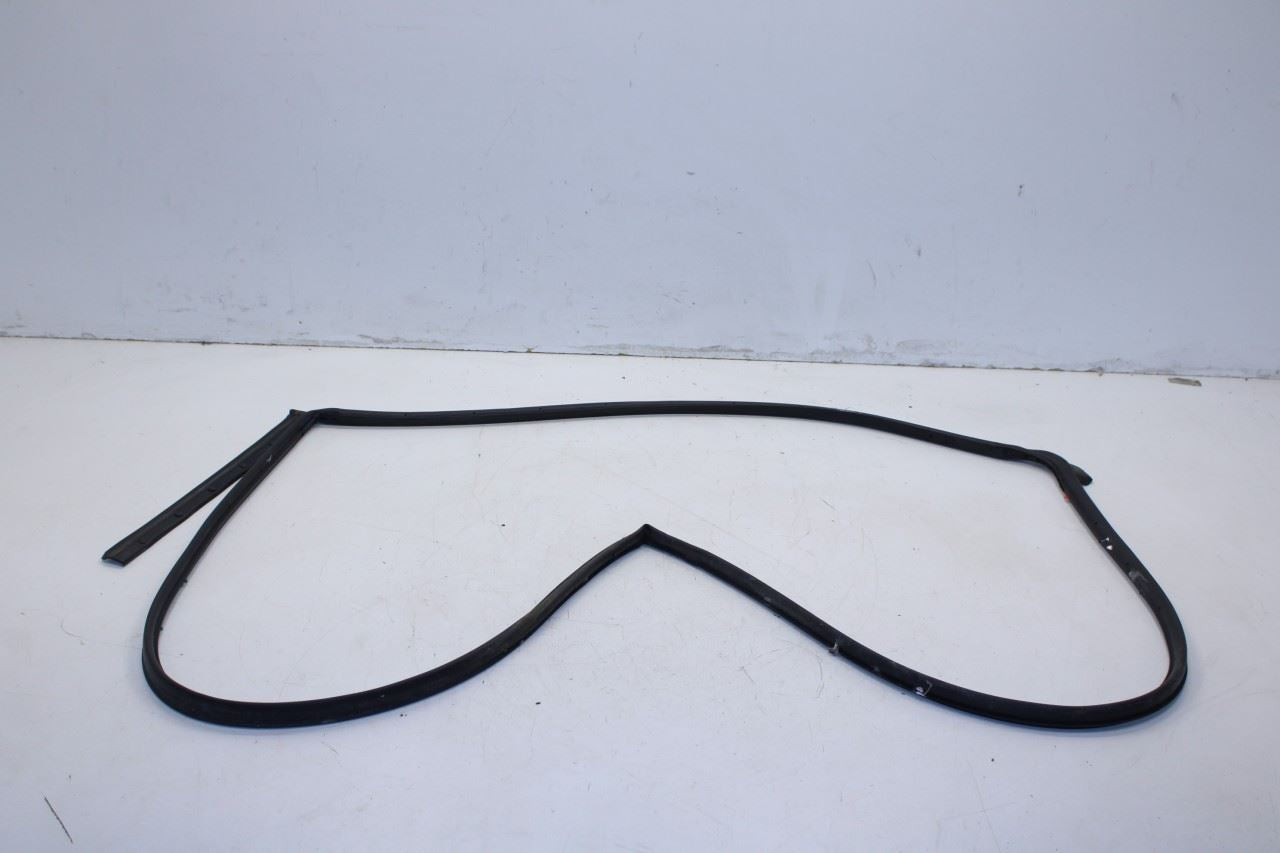 2016-20 Hyundai Elantra Rear Right Door Run Channel w/ Belt Molding Weatherstrip - Alshned Auto Parts