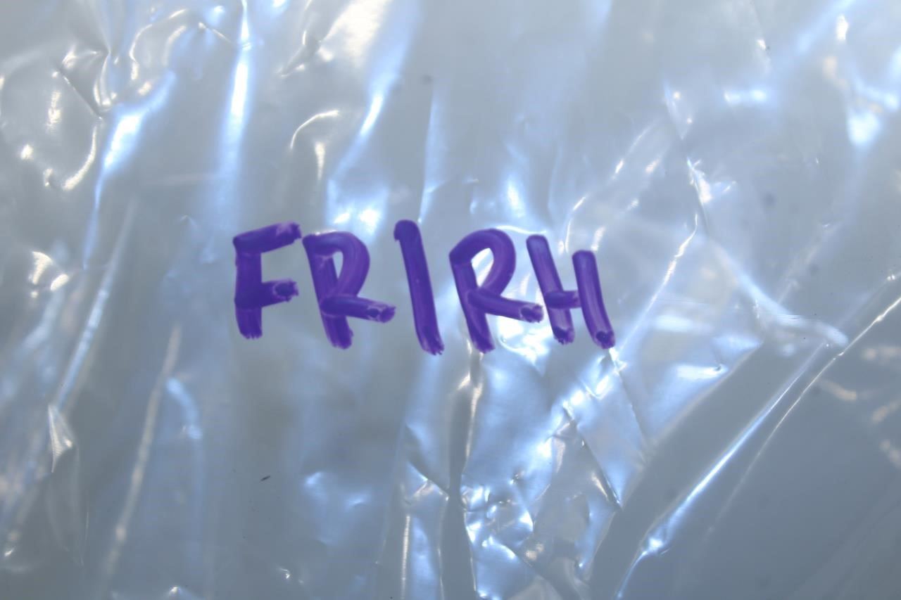 2015-24 Ford F150 XL Front RH Side Door Hinge Upper and Lower FL3Z-1622800-B OEM - Alshned Auto Parts