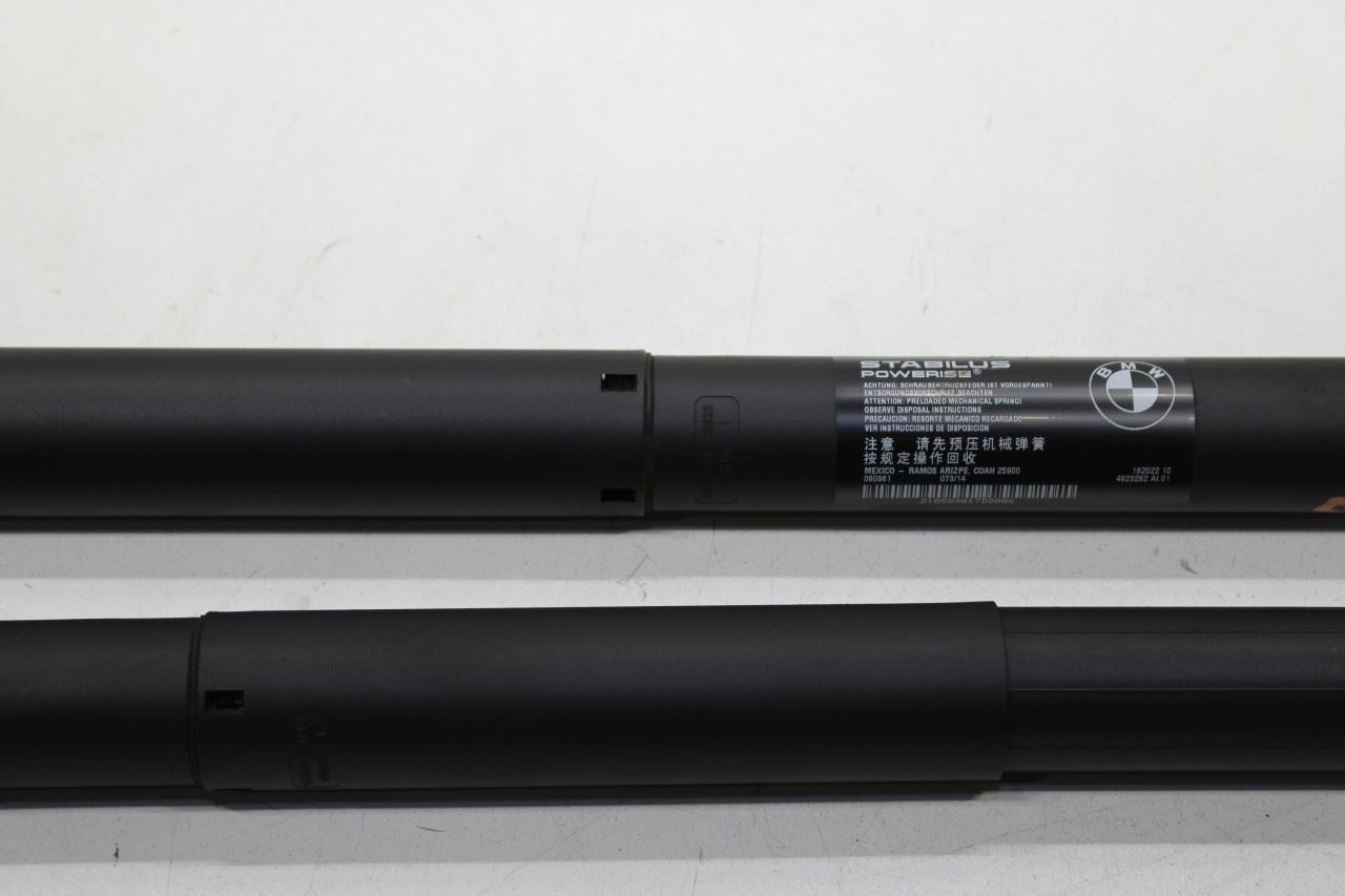2014-2018 BMW X5 Rear Liftgate Lid RH and LH Power Lift Cylinder Shock Strut Set - Alshned Auto Parts