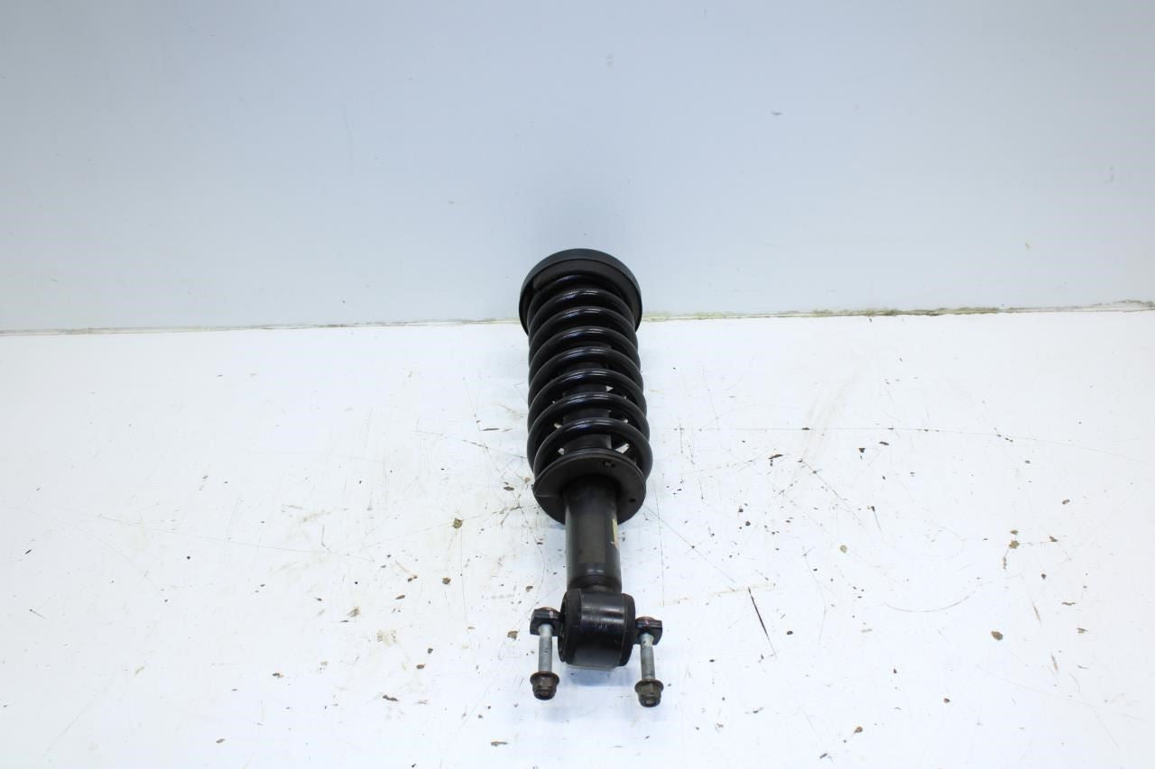 2015-17 Ford F150 Platinum RWD Front Side Shock Strut Absorber FL34-18045-BC OEM - Alshned Auto Parts