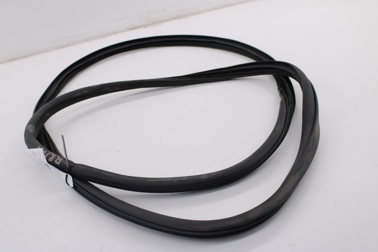 2019-2026 Ram 1500 Big Horn Crew Cab Rear Left Side Door Weatherstrip On Body0