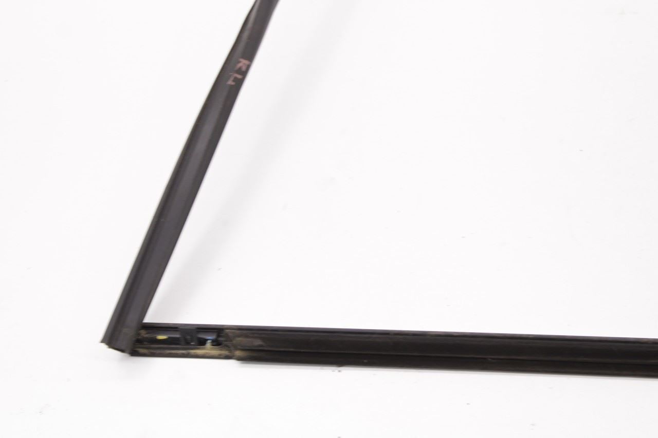 2013-2019 Nissan Sentra SL Rear Left Door Run Channel with Belt Outer Molding - Alshned Auto Parts