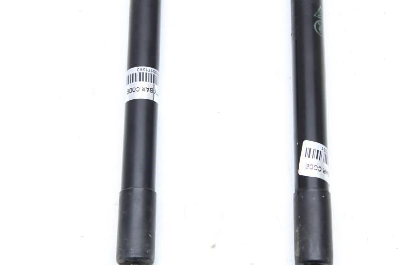 2019-2021 Chevrolet Silverado 1500 FR RH / LH Hood Lift Shocks Pair 84447696 OEM - Alshned Auto Parts