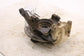 14-20 Arctic Cat Wildcat Trail 700 4WD Front Right Spindle Knuckle Hub w/ Brake - Alshned Auto Parts