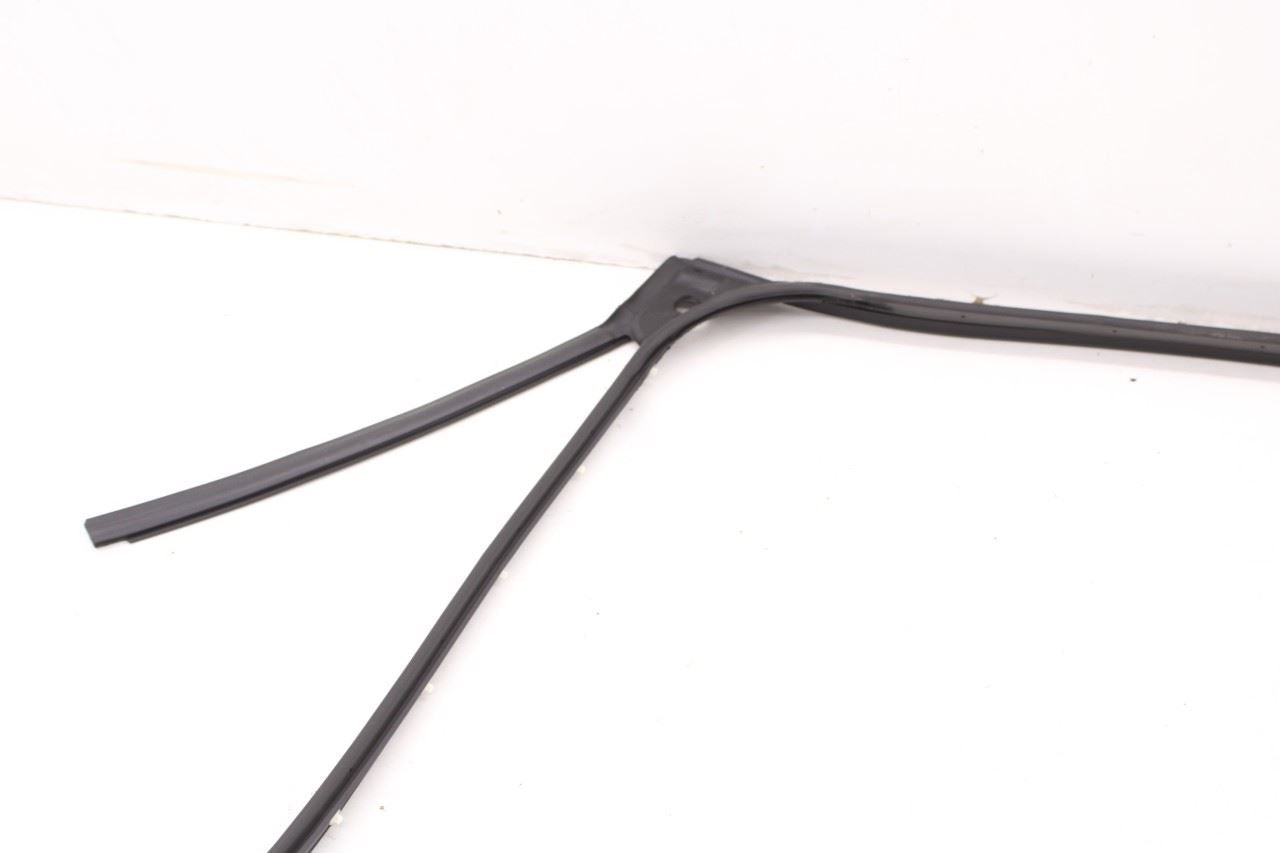 2019-2025 Infiniti QX50 LUXE Rear Right Door Weatherstrip with Belt Molding Set - Alshned Auto Parts