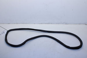 2015-2023 Jeep Renegade Rear Left Driver Door Weatherstrip On Body 68339130AA