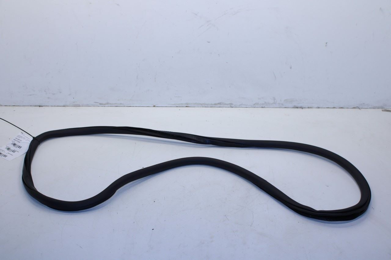 2015-2023 Jeep Renegade Rear Left Driver Door Weatherstrip On Body 68339130AA - Alshned Auto Parts