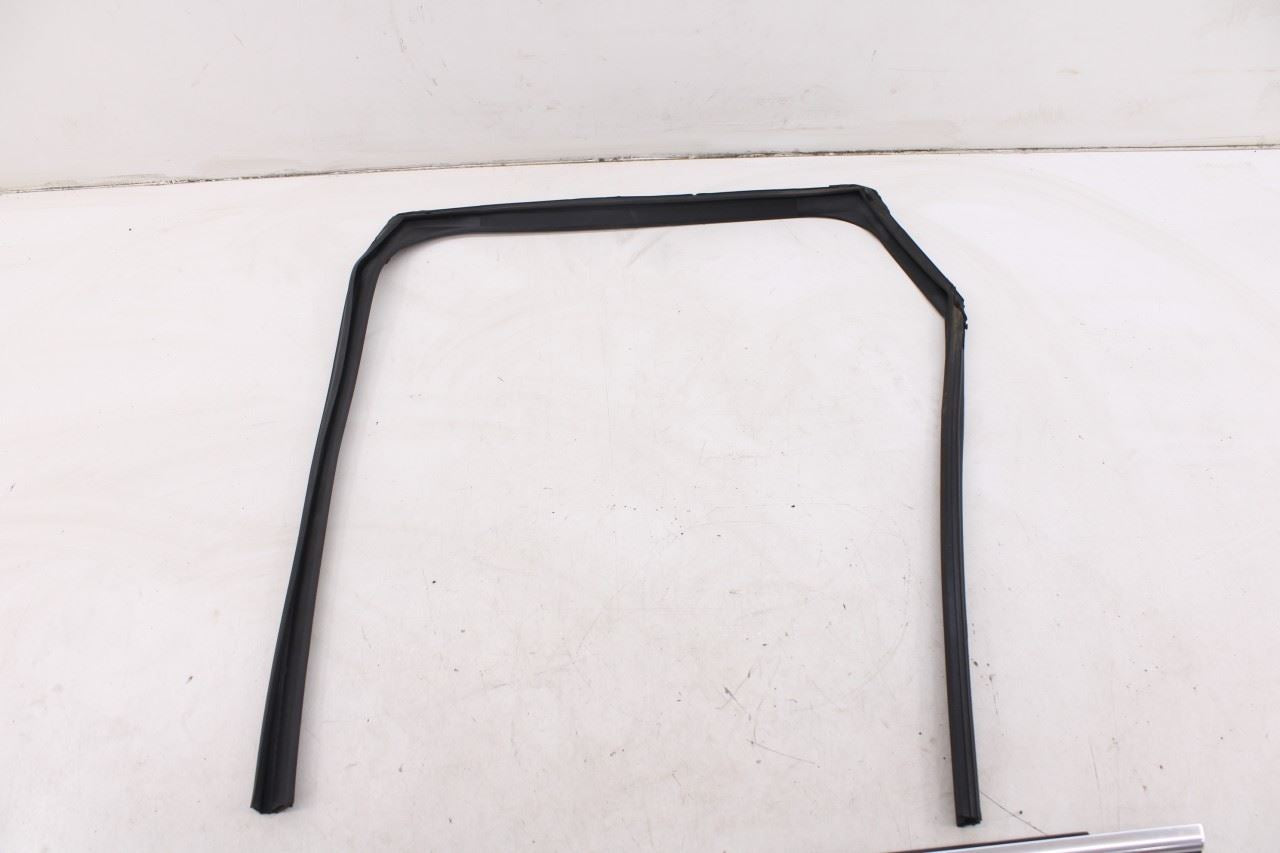 2019-2025 Infiniti QX50 Essential Rear Left Door Glass Run Channel Trim Belt Set - Alshned Auto Parts