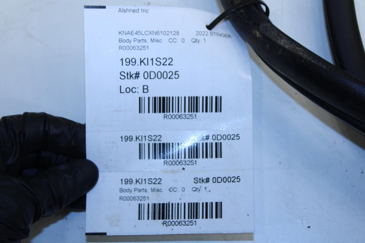 2018-2023 Kia Stinger GT1 Front Right Door Weatherstrip On Body 82120-J5000 OEM - Alshned Auto Parts