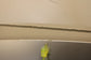 2016-2020 Kia Optima LX Front Hood Shell Panel 66400-D4000P OEM *ReaD* - Alshned Auto Parts