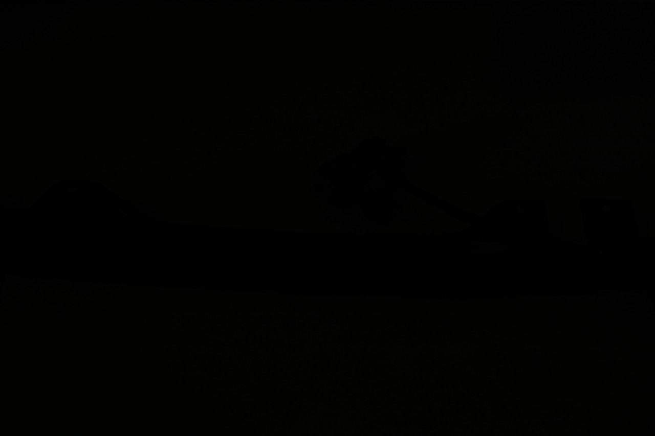 2010-2015 BMW 750Li xDrive Rear Left Driver Side Door Window Sun Shade w/ Motor - Alshned Auto Parts