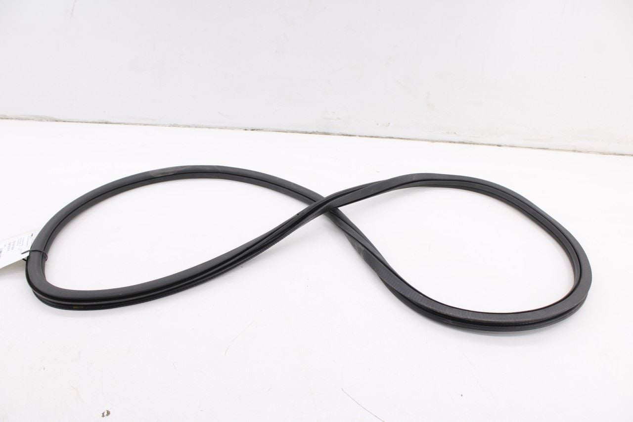 19-26 Volkswagen Jetta SE Rear Right Door Weatherstrip On Body 17A867914A9B9 OEM5