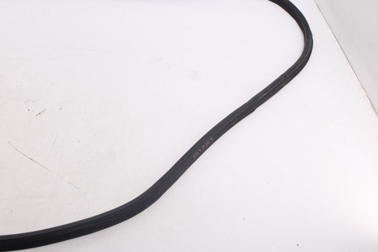 2020-2026 Hyundai Palisade Limited AWD Liftgate Tailgate Back Door Weatherstrip6