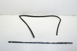 2013-2020 Lexus GS350 Front Left Door Window Run Channel with Belt Outer Molding