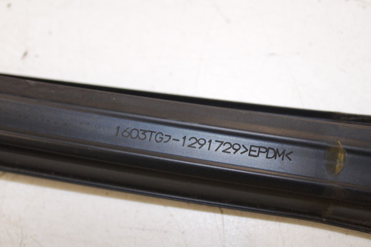 2015-2017 Infiniti QX50 Rear Right Door Run Channel w/ Belt Molding Weatherstrip - Alshned Auto Parts