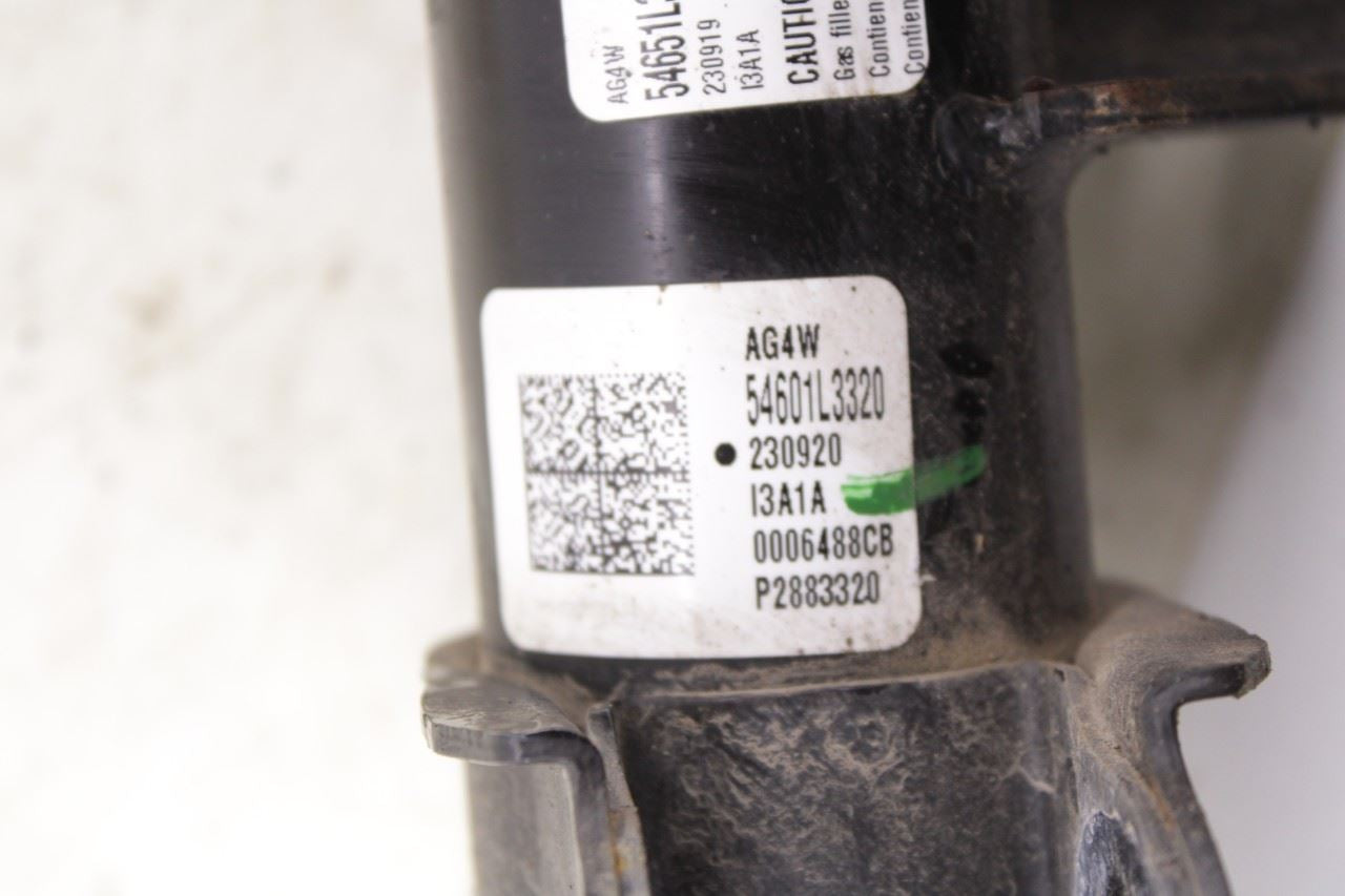 2021-24 Kia K5 GT-Line 1.6L AWD Front Right Passenger Side Shock Strut Absorber - Alshned Auto Parts