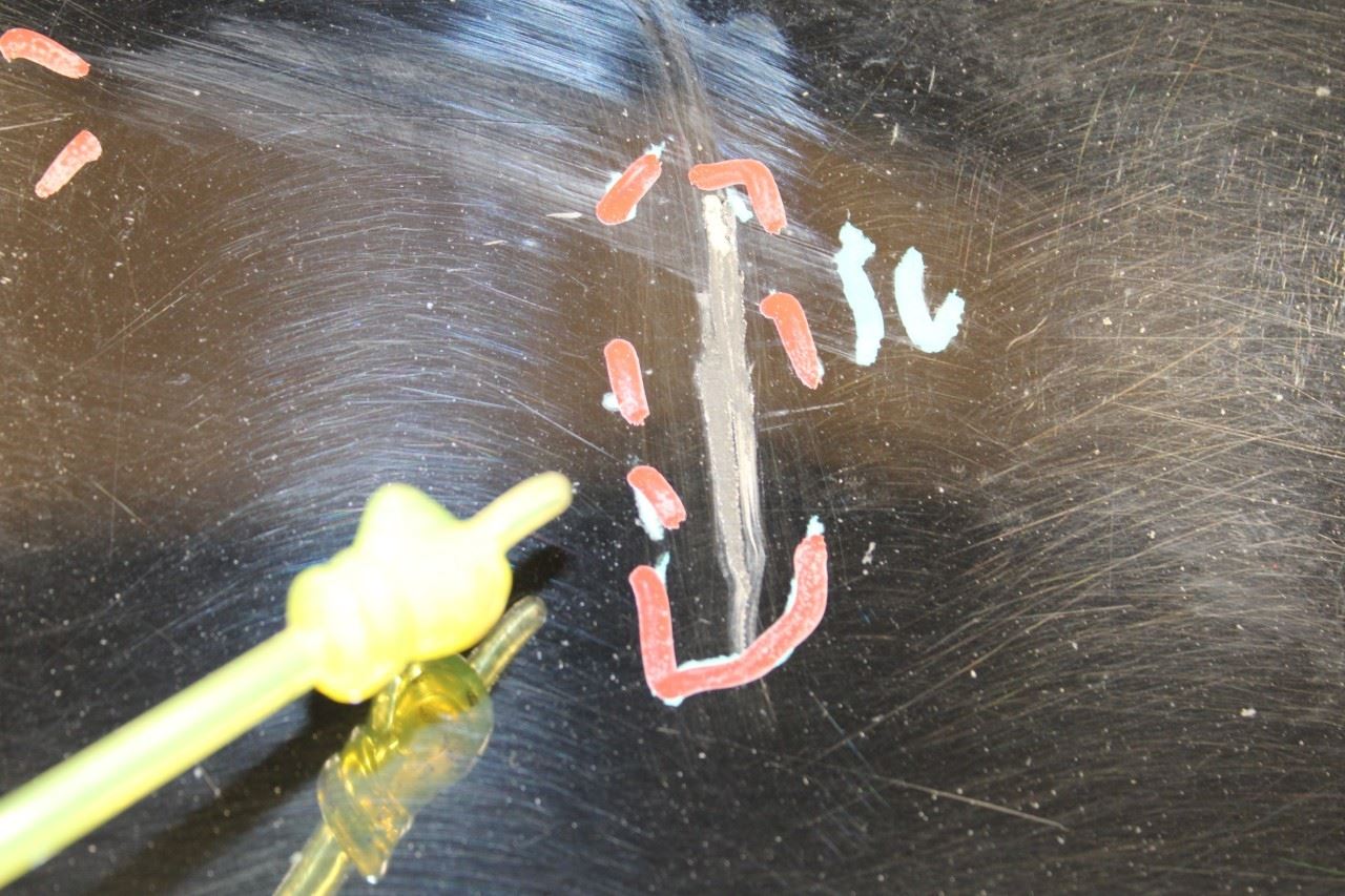 10-16 Porsche Panamera Front Right Door Shell Panel 970-531-012-02-GRV OEM *ReaD - Alshned Auto Parts