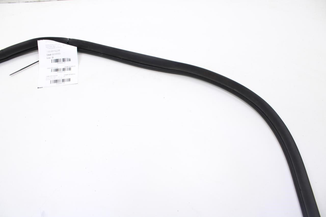 2020-2022 Hyundai Sonata SE Rear Left Door Weatherstrip On Body 83110-L0000 OEM - Alshned Auto Parts