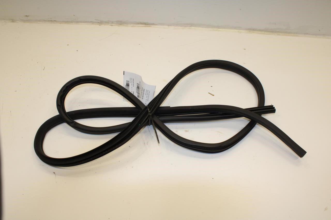 2019-2020 Nissan Altima SL Rear Left Door Weatherstrip On Body 76924-6CA0A OEM - Alshned Auto Parts