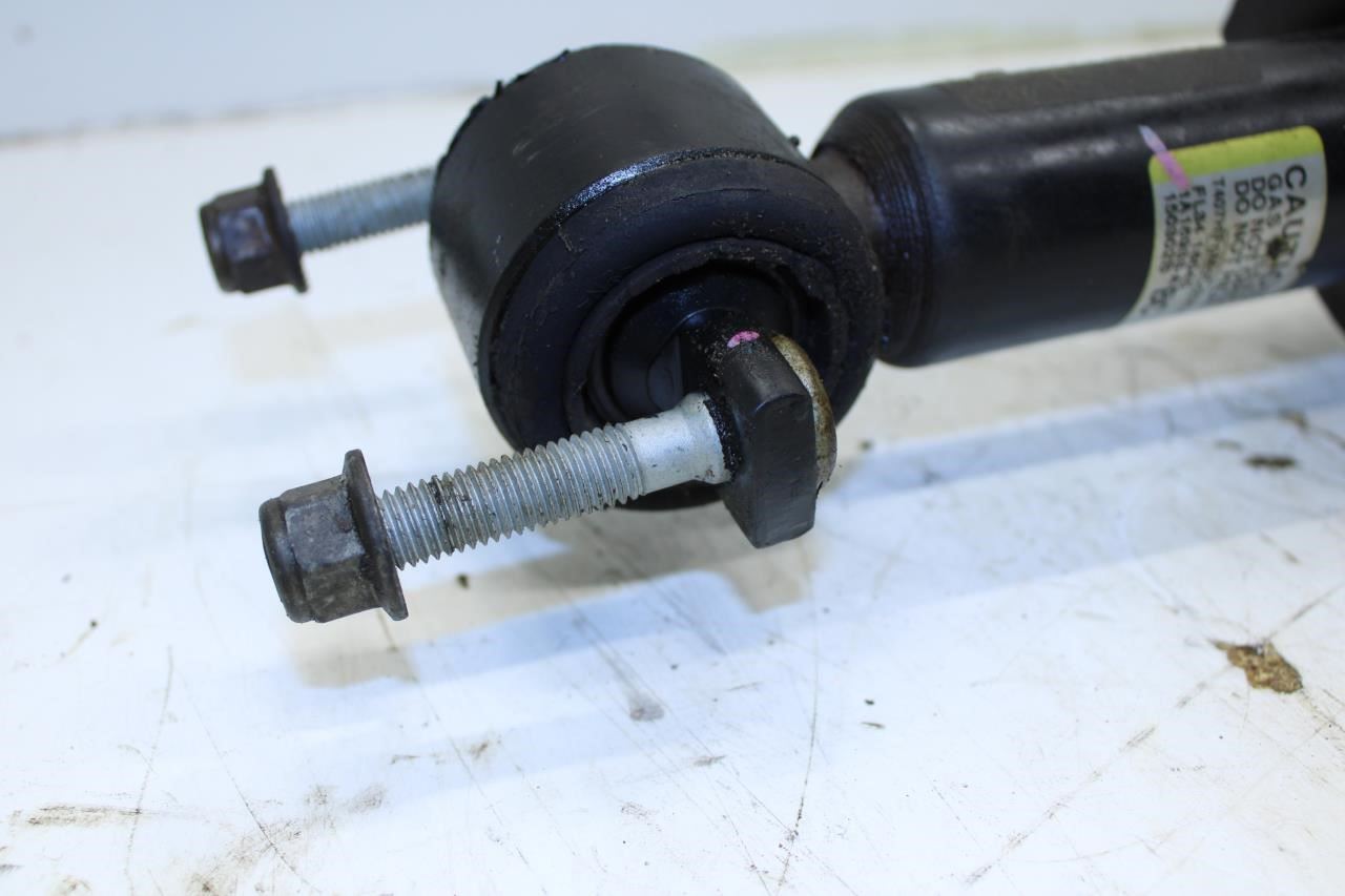 2015-17 Ford F150 Platinum RWD Front Side Shock Strut Absorber FL34-18045-BC OEM - Alshned Auto Parts