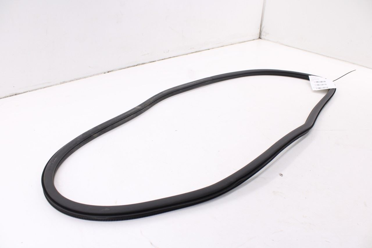 19-26 Volkswagen Jetta SE Rear Left Door Weatherstrip On Body 17A867913A9B9 OEM0