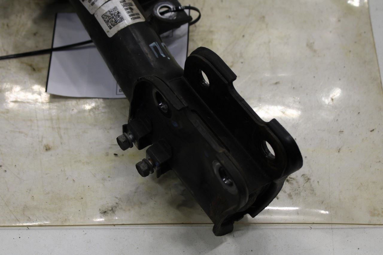 2015-20 Kia Sorento LX 3.3L FWD Front Passenger Right Side Shock Strut Absorber - Alshned Auto Parts